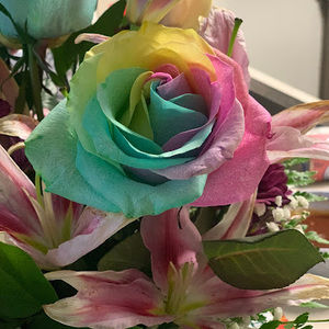 Meet your Posher, Rochelle